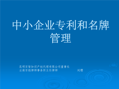 中小企业专利和名牌管理课件.ppt