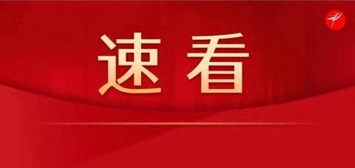 铜川市2024年大学生到政府机关见习报名公告来啦,快来报名吧